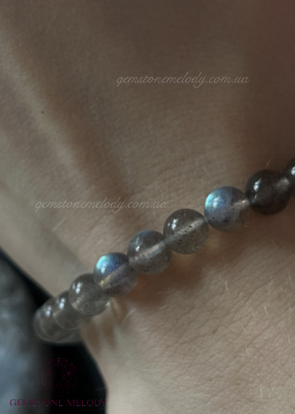 Браслет з лабрадором