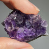Друза аметиста 20-30грамів