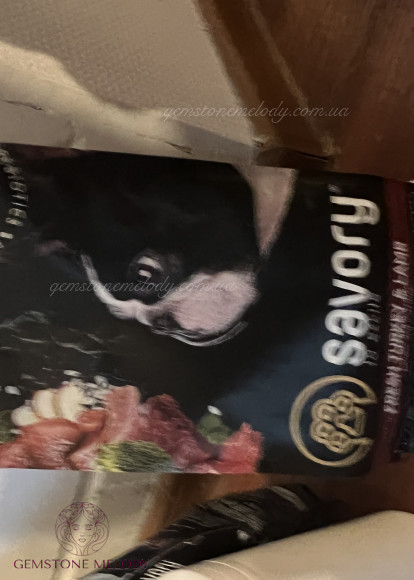 Браслет з діамантами, вставкою апатиту